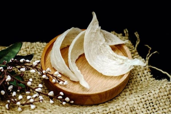 edible bird's nest 2