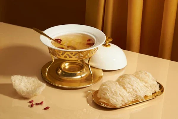 edible bird's nest 3