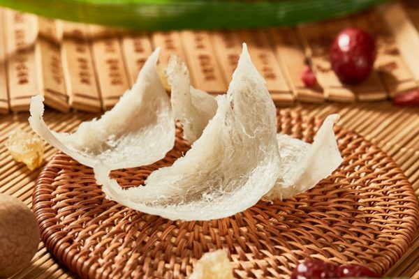 edible bird's nest 4